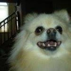 Meet your Posher, Alice